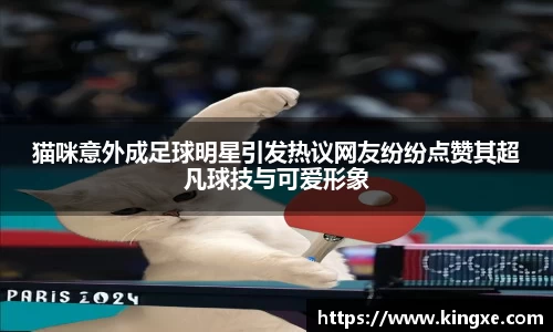 猫咪意外成足球明星引发热议网友纷纷点赞其超凡球技与可爱形象